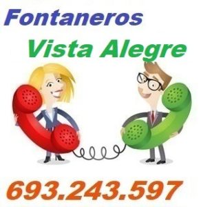 Telefono de la empresa fontaneros Vista Alegre