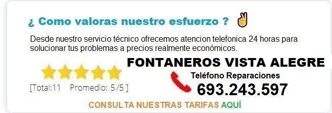 Fontanero Vista Alegre precio