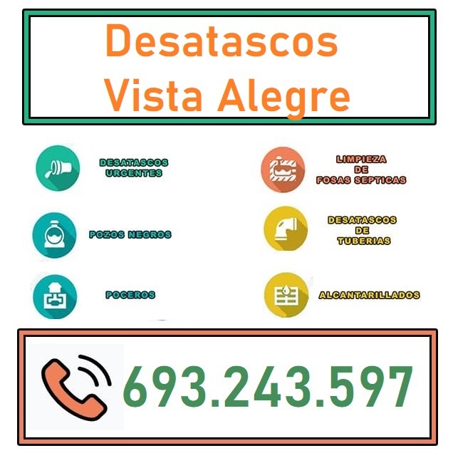 Desatascos Vista Alegre